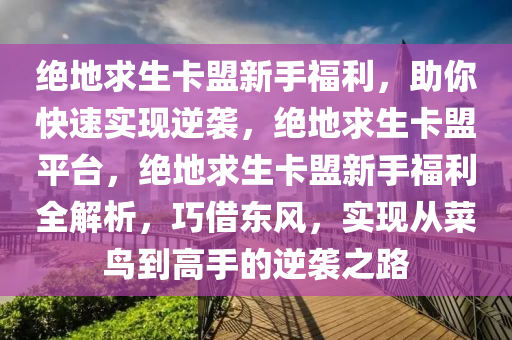 绝地求生卡盟新手福利，助你快速实现逆袭，绝地求生卡盟平台，绝地求生卡盟新手福利全解析，巧借东风，实现从菜鸟到高手的逆袭之路