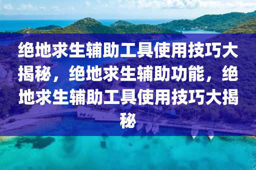 绝地求生辅助工具使用技巧大揭秘，绝地求生辅助功能，绝地求生辅助工具使用技巧大揭秘