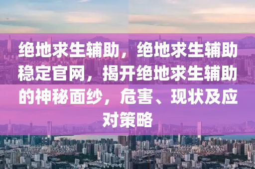 绝地求生辅助，绝地求生辅助稳定官网，揭开绝地求生辅助的神秘面纱，危害、现状及应对策略