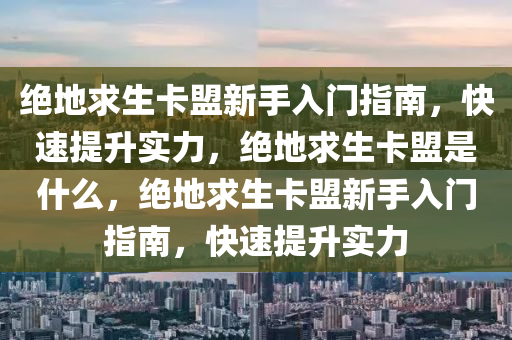 绝地求生卡盟新手入门指南，快速提升实力，绝地求生卡盟是什么，绝地求生卡盟新手入门指南，快速提升实力