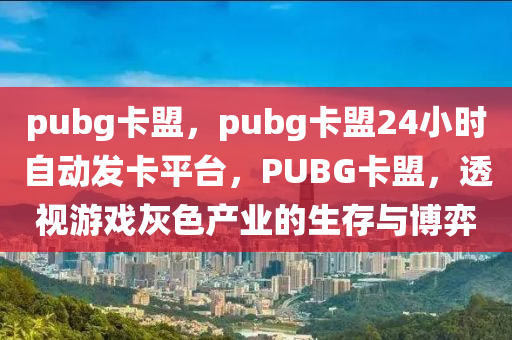pubg卡盟，pubg卡盟24小时自动发卡平台，PUBG卡盟，透视游戏灰色产业的生存与博弈