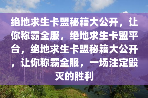 绝地求生卡盟秘籍大公开，让你称霸全服，绝地求生卡盟平台，绝地求生卡盟秘籍大公开，让你称霸全服，一场注定毁灭的胜利