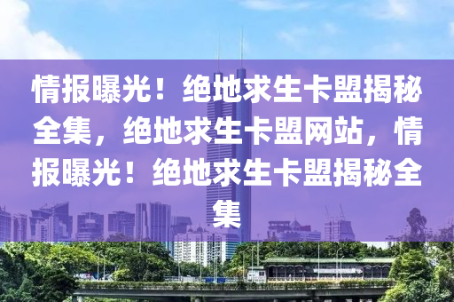 情报曝光！绝地求生卡盟揭秘全集，绝地求生卡盟网站，情报曝光！绝地求生卡盟揭秘全集