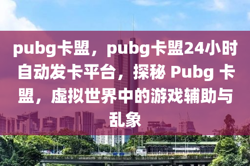 pubg卡盟，pubg卡盟24小时自动发卡平台，探秘 Pubg 卡盟，虚拟世界中的游戏辅助与乱象