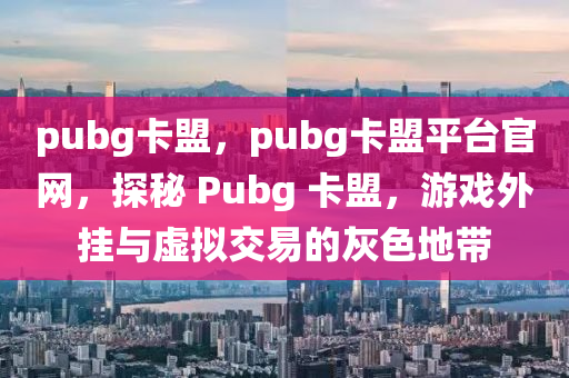 pubg卡盟，pubg卡盟平台官网，探秘 Pubg 卡盟，游戏外挂与虚拟交易的灰色地带