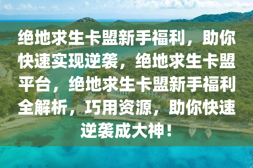 绝地求生卡盟新手福利，助你快速实现逆袭，绝地求生卡盟平台，绝地求生卡盟新手福利全解析，巧用资源，助你快速逆袭成大神！