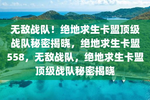 无敌战队！绝地求生卡盟顶级战队秘密揭晓，绝地求生卡盟558，无敌战队，绝地求生卡盟顶级战队秘密揭晓
