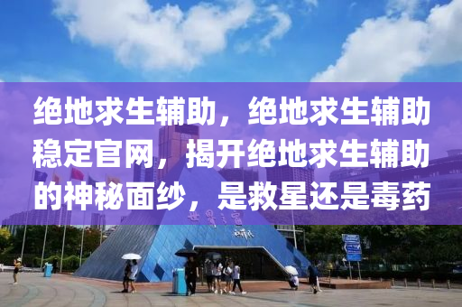 绝地求生辅助，绝地求生辅助稳定官网，揭开绝地求生辅助的神秘面纱，是救星还是毒药