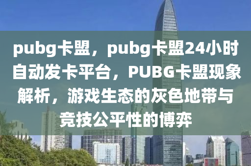 pubg卡盟，pubg卡盟24小时自动发卡平台，PUBG卡盟现象解析，游戏生态的灰色地带与竞技公平性的博弈