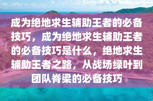 成为绝地求生辅助王者的必备技巧，成为绝地求生辅助王者的必备技巧是什么，绝地求生辅助王者之路，从战场绿叶到团队脊梁的必备技巧