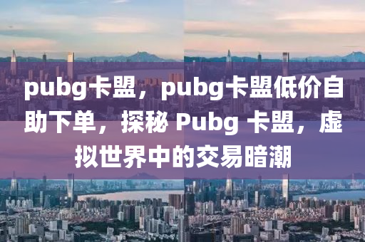 pubg卡盟，pubg卡盟低价自助下单，探秘 Pubg 卡盟，虚拟世界中的交易暗潮