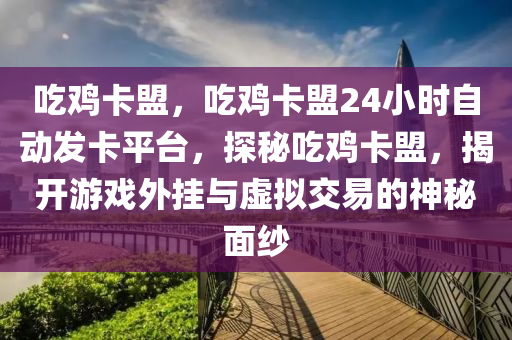 吃鸡卡盟，吃鸡卡盟24小时自动发卡平台，探秘吃鸡卡盟，揭开游戏外挂与虚拟交易的神秘面纱