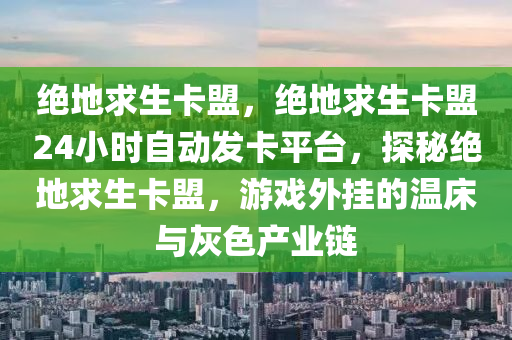 绝地求生卡盟，绝地求生卡盟24小时自动发卡平台，探秘绝地求生卡盟，游戏外挂的温床与灰色产业链
