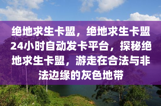 绝地求生卡盟，绝地求生卡盟24小时自动发卡平台，探秘绝地求生卡盟，游走在合法与非法边缘的灰色地带