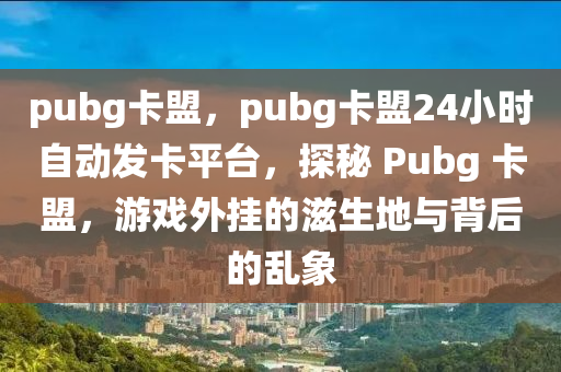 pubg卡盟，pubg卡盟24小时自动发卡平台，探秘 Pubg 卡盟，游戏外挂的滋生地与背后的乱象
