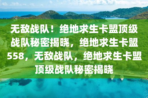 无敌战队！绝地求生卡盟顶级战队秘密揭晓，绝地求生卡盟558，无敌战队，绝地求生卡盟顶级战队秘密揭晓
