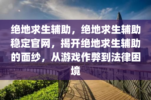 绝地求生辅助，绝地求生辅助稳定官网，揭开绝地求生辅助的面纱，从游戏作弊到法律困境