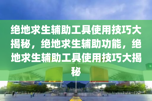 绝地求生辅助工具使用技巧大揭秘，绝地求生辅助功能，绝地求生辅助工具使用技巧大揭秘