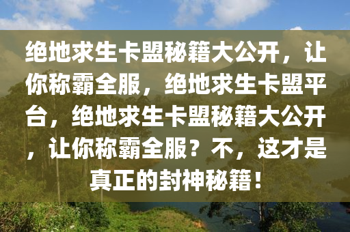 绝地求生卡盟秘籍大公开，让你称霸全服，绝地求生卡盟平台，绝地求生卡盟秘籍大公开，让你称霸全服？不，这才是真正的封神秘籍！
