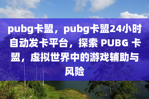 pubg卡盟，pubg卡盟24小时自动发卡平台，探索 PUBG 卡盟，虚拟世界中的游戏辅助与风险