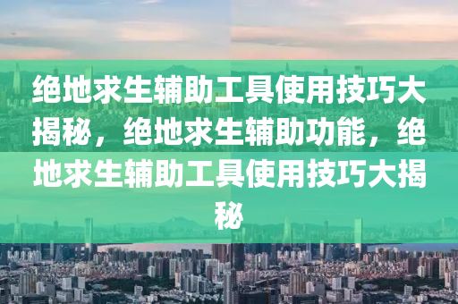 绝地求生辅助工具使用技巧大揭秘，绝地求生辅助功能，绝地求生辅助工具使用技巧大揭秘