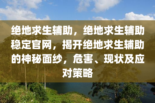 绝地求生辅助，绝地求生辅助稳定官网，揭开绝地求生辅助的神秘面纱，危害、现状及应对策略
