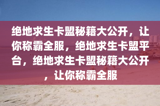 绝地求生卡盟秘籍大公开，让你称霸全服，绝地求生卡盟平台，绝地求生卡盟秘籍大公开，让你称霸全服