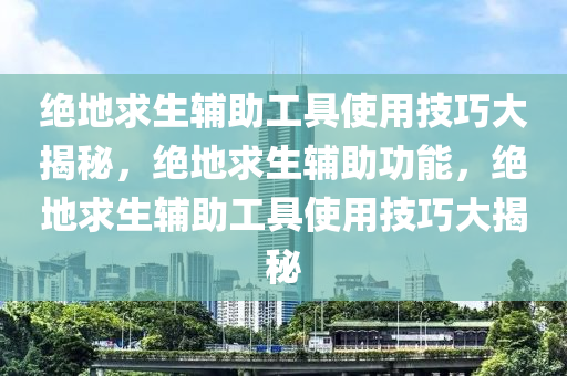 绝地求生辅助工具使用技巧大揭秘，绝地求生辅助功能，绝地求生辅助工具使用技巧大揭秘