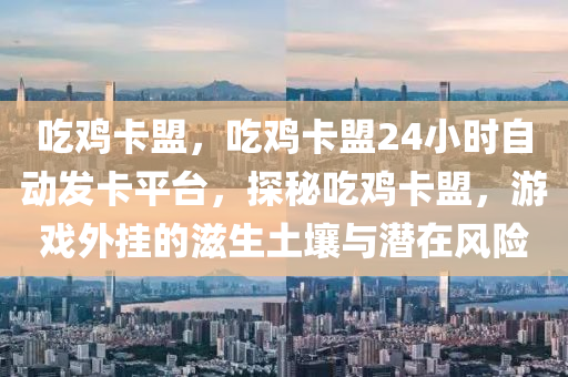 吃鸡卡盟，吃鸡卡盟24小时自动发卡平台，探秘吃鸡卡盟，游戏外挂的滋生土壤与潜在风险