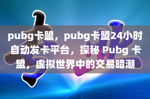 pubg卡盟，pubg卡盟24小时自动发卡平台，探秘 Pubg 卡盟，虚拟世界中的交易暗潮