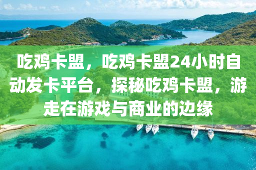 吃鸡卡盟，吃鸡卡盟24小时自动发卡平台，探秘吃鸡卡盟，游走在游戏与商业的边缘