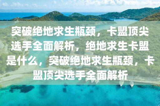 突破绝地求生瓶颈，卡盟顶尖选手全面解析，绝地求生卡盟是什么，突破绝地求生瓶颈，卡盟顶尖选手全面解析