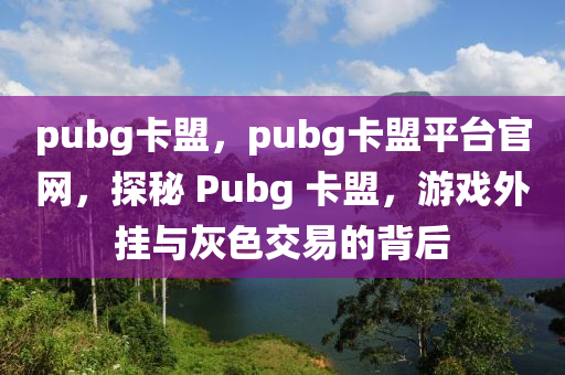 pubg卡盟，pubg卡盟平台官网，探秘 Pubg 卡盟，游戏外挂与灰色交易的背后