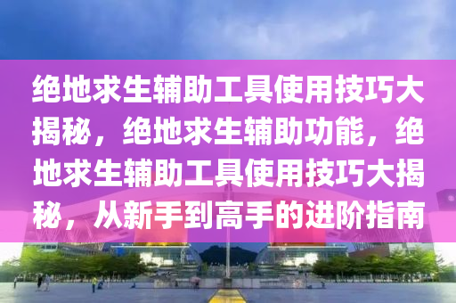 绝地求生辅助工具使用技巧大揭秘，绝地求生辅助功能，绝地求生辅助工具使用技巧大揭秘，从新手到高手的进阶指南