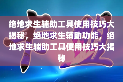 绝地求生辅助工具使用技巧大揭秘，绝地求生辅助功能，绝地求生辅助工具使用技巧大揭秘