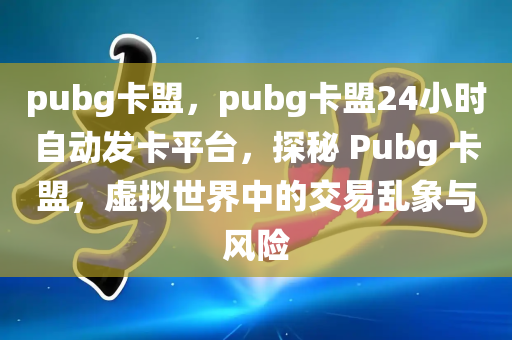 pubg卡盟，pubg卡盟24小时自动发卡平台，探秘 Pubg 卡盟，虚拟世界中的交易乱象与风险