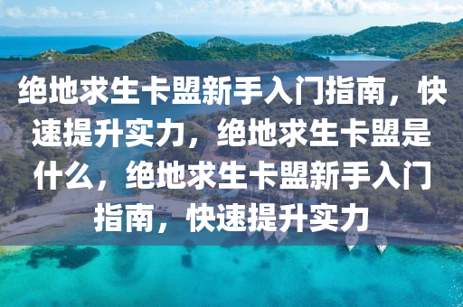 绝地求生卡盟新手入门指南，快速提升实力，绝地求生卡盟是什么，绝地求生卡盟新手入门指南，快速提升实力