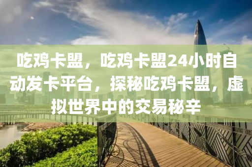 吃鸡卡盟，吃鸡卡盟24小时自动发卡平台，探秘吃鸡卡盟，虚拟世界中的交易秘辛