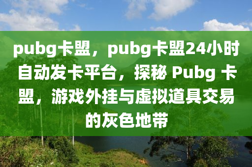 pubg卡盟，pubg卡盟24小时自动发卡平台，探秘 Pubg 卡盟，游戏外挂与虚拟道具交易的灰色地带