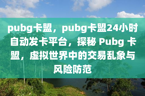 pubg卡盟，pubg卡盟24小时自动发卡平台，探秘 Pubg 卡盟，虚拟世界中的交易乱象与风险防范