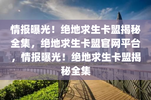 情报曝光！绝地求生卡盟揭秘全集，绝地求生卡盟官网平台，情报曝光！绝地求生卡盟揭秘全集