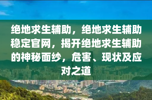 绝地求生辅助，绝地求生辅助稳定官网，揭开绝地求生辅助的神秘面纱，危害、现状及应对之道
