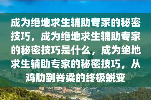 成为绝地求生辅助专家的秘密技巧，成为绝地求生辅助专家的秘密技巧是什么，成为绝地求生辅助专家的秘密技巧，从鸡肋到脊梁的终极蜕变