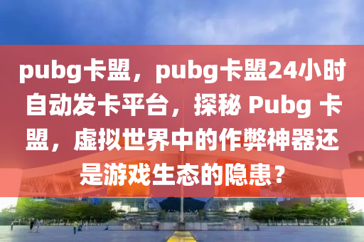 pubg卡盟，pubg卡盟24小时自动发卡平台，探秘 Pubg 卡盟，虚拟世界中的作弊神器还是游戏生态的隐患？