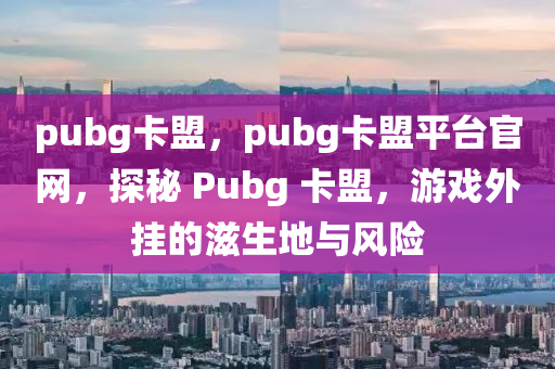 pubg卡盟，pubg卡盟平台官网，探秘 Pubg 卡盟，游戏外挂的滋生地与风险