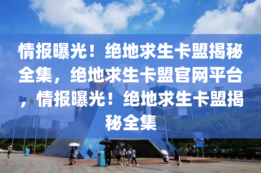 情报曝光！绝地求生卡盟揭秘全集，绝地求生卡盟官网平台，情报曝光！绝地求生卡盟揭秘全集