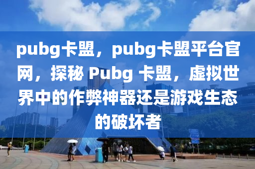 pubg卡盟，pubg卡盟平台官网，探秘 Pubg 卡盟，虚拟世界中的作弊神器还是游戏生态的破坏者