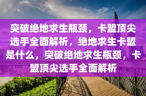 突破绝地求生瓶颈，卡盟顶尖选手全面解析，绝地求生卡盟是什么，突破绝地求生瓶颈，卡盟顶尖选手全面解析