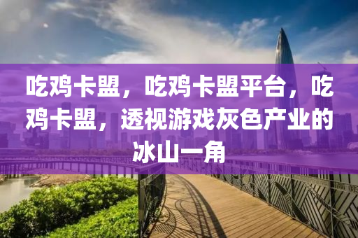 吃鸡卡盟，吃鸡卡盟平台，吃鸡卡盟，透视游戏灰色产业的冰山一角