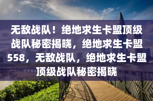 无敌战队！绝地求生卡盟顶级战队秘密揭晓，绝地求生卡盟558，无敌战队，绝地求生卡盟顶级战队秘密揭晓